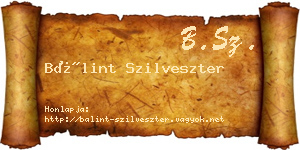 Bálint Szilveszter névjegykártya